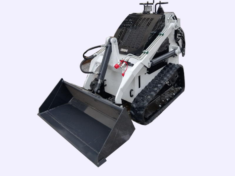 r360 skid steer loader (3)